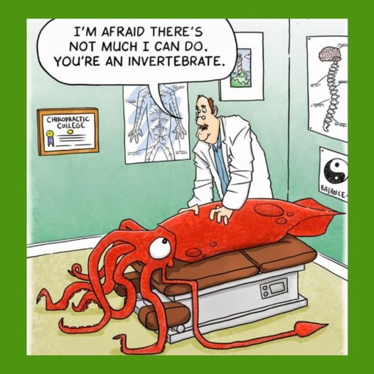 upper cervical adjustment Wembley Court Plano TX 75023